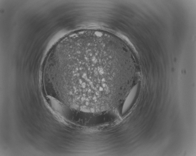 X0000084531424200703091616