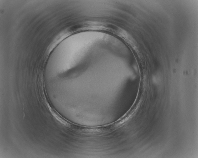 X0000084531425200703091616