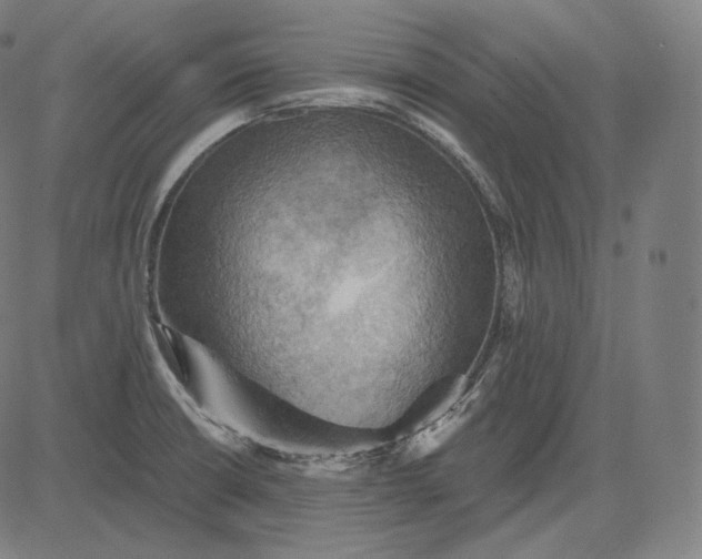 X0000084531426200703091616