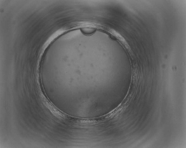 X0000084531427200703091616