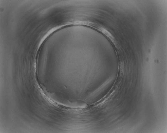 X0000084531428200703091616