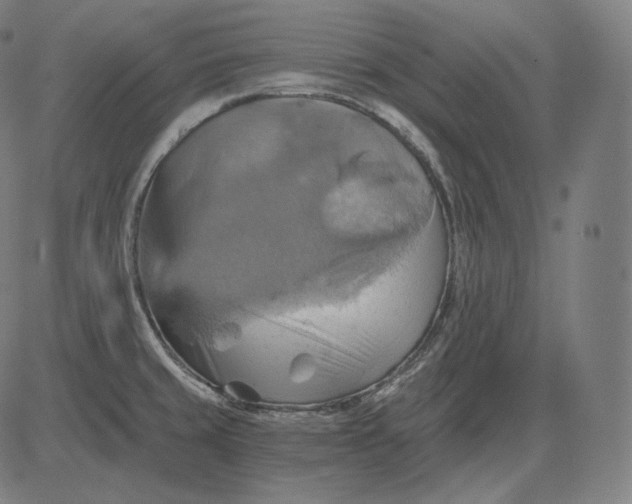 X0000084531429200703091616