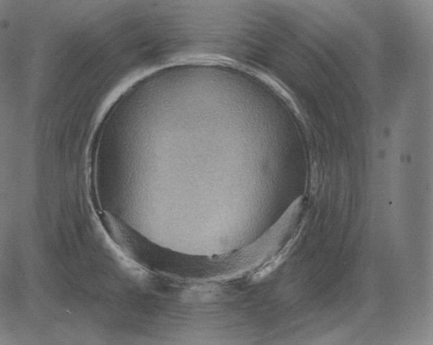 X0000084531430200703091616