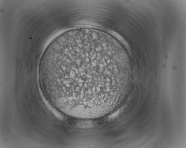 X0000084531431200703091616