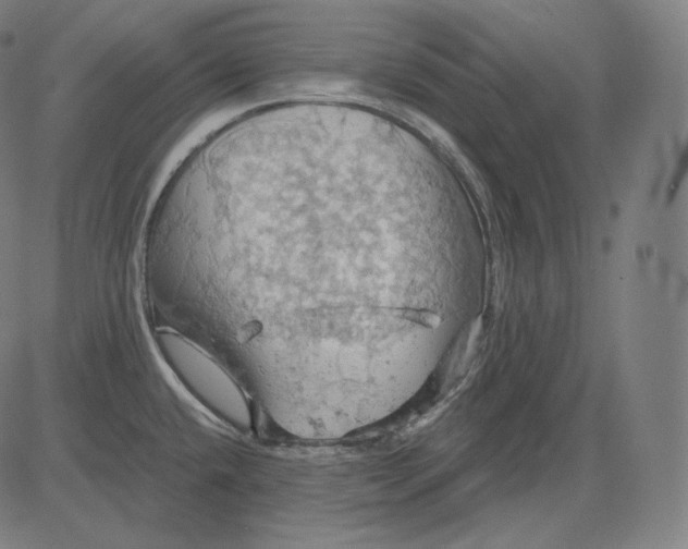 X0000084531432200703091616