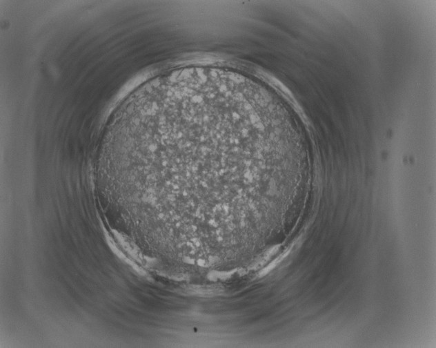 X0000084531433200703091616