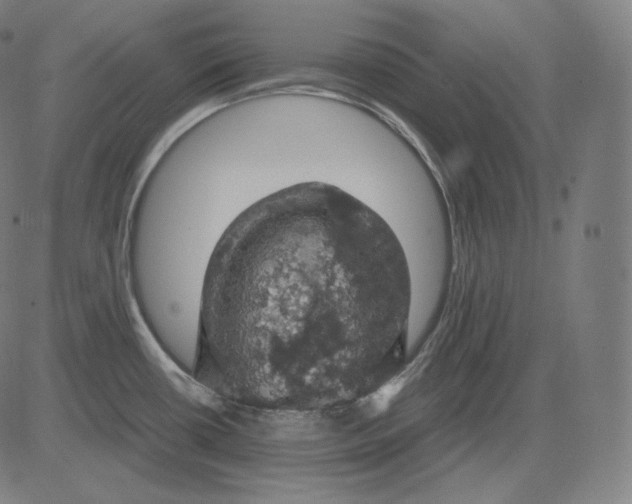 X0000084531434200703091616