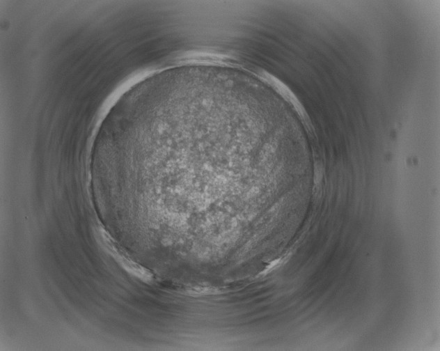 X0000084531435200703091616