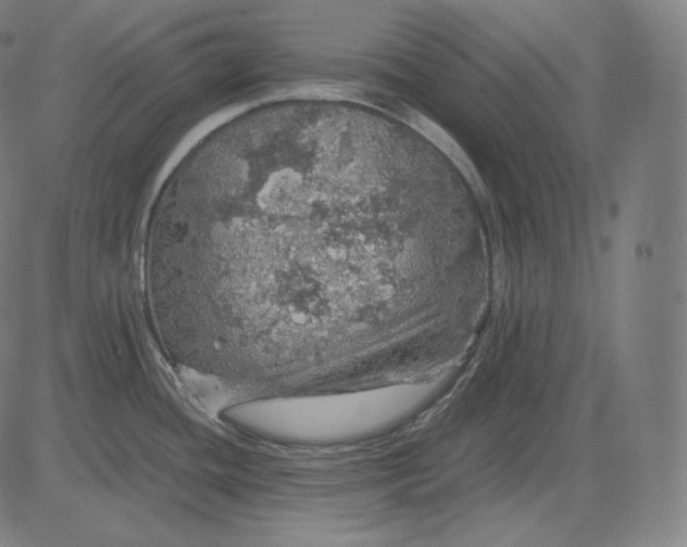 X0000084531436200703091616