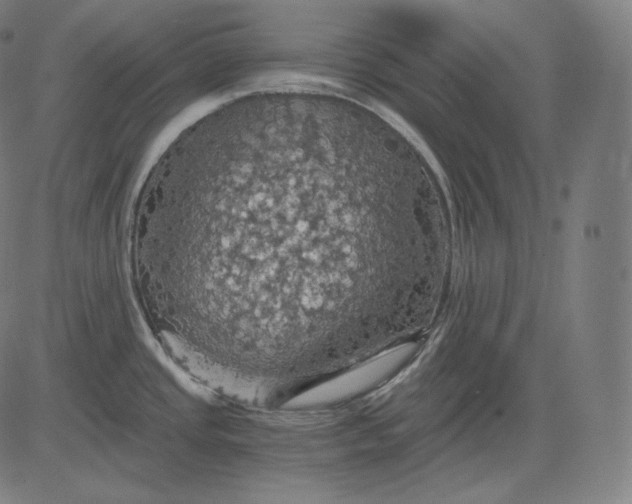 X0000084531437200703091616