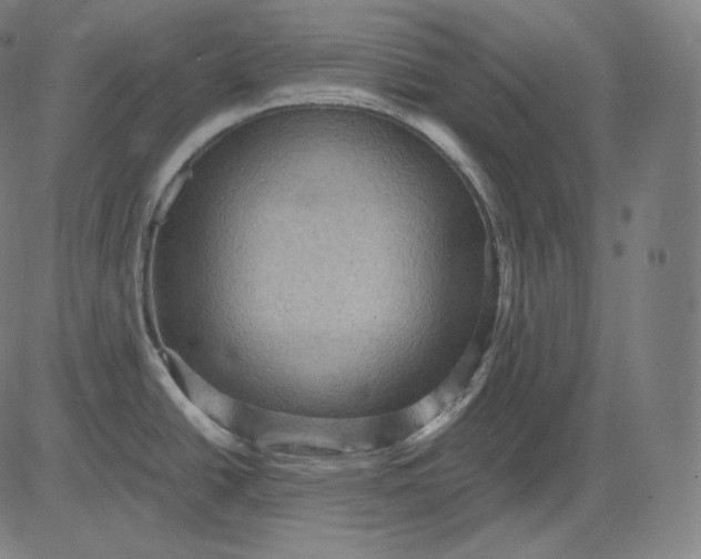 X0000084531438200703091616