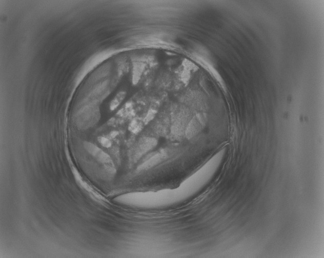 X0000084531439200703091616