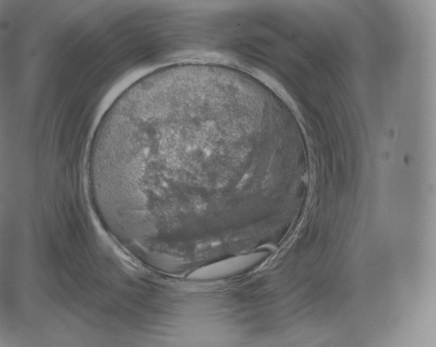 X0000084531440200703091617