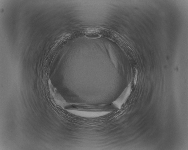 X0000084531441200703091616