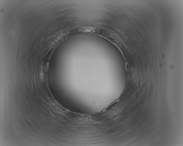 X0000084531442200703091616