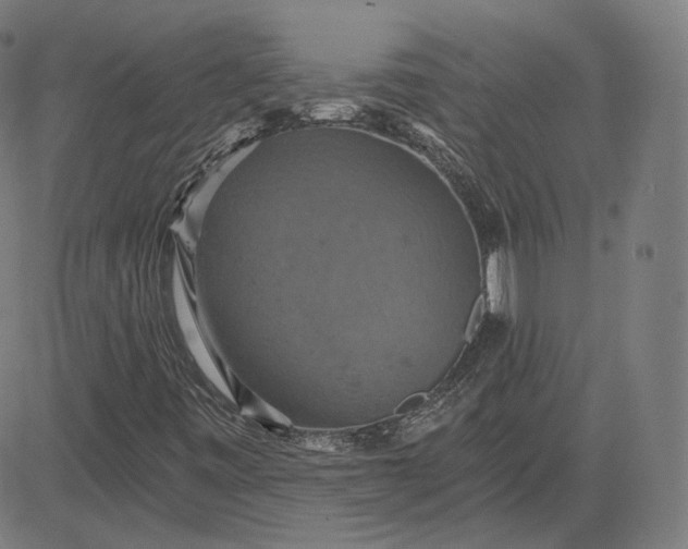 X0000084531443200703091616