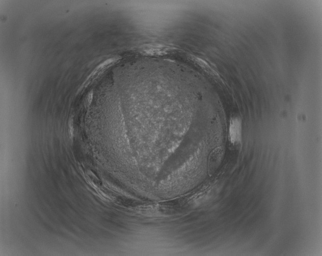 X0000084531444200703091616