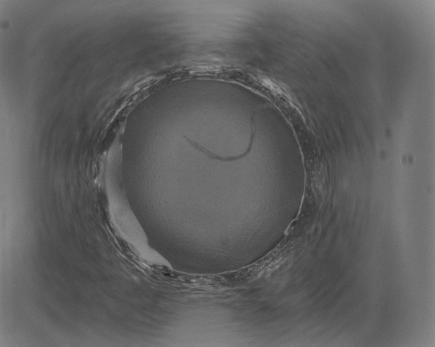 X0000084531445200703091616