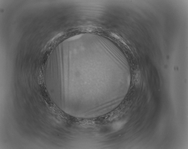 X0000084531446200703091616