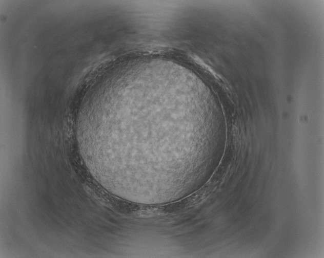 X0000084531447200703091616