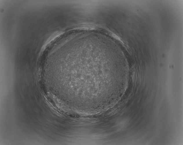 X0000084531448200703091616