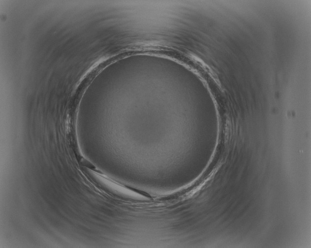 X0000084531449200703091616