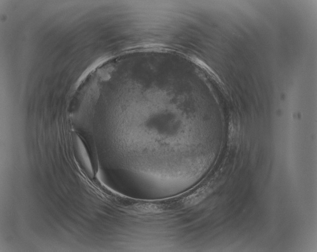 X0000084531450200703091616