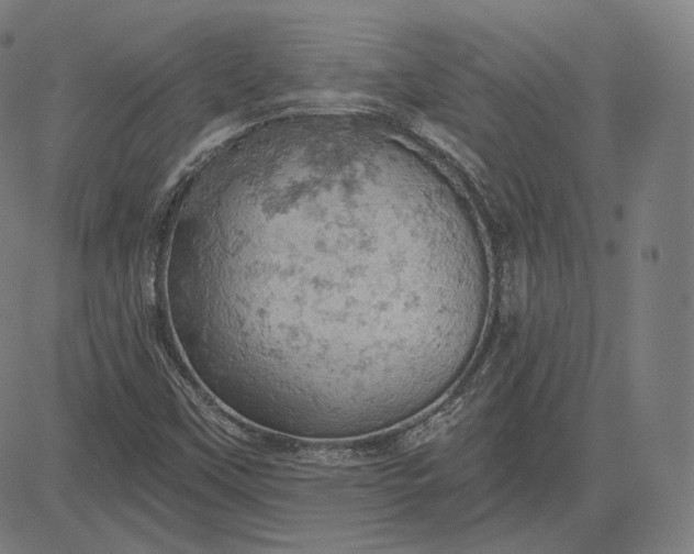 X0000084531451200703091616