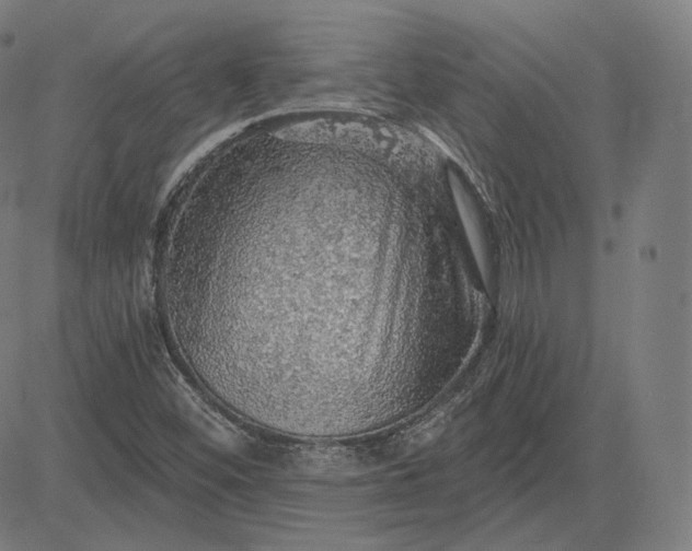 X0000084531452200703091616