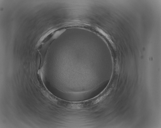 X0000084531453200703091616