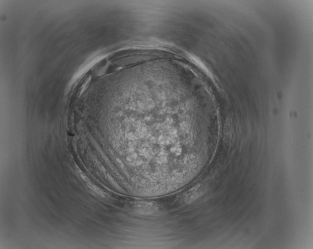 X0000084531456200703091615