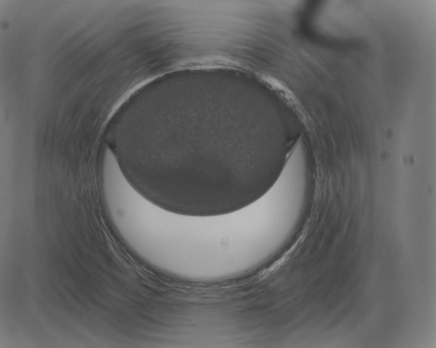 X0000084531457200703091615