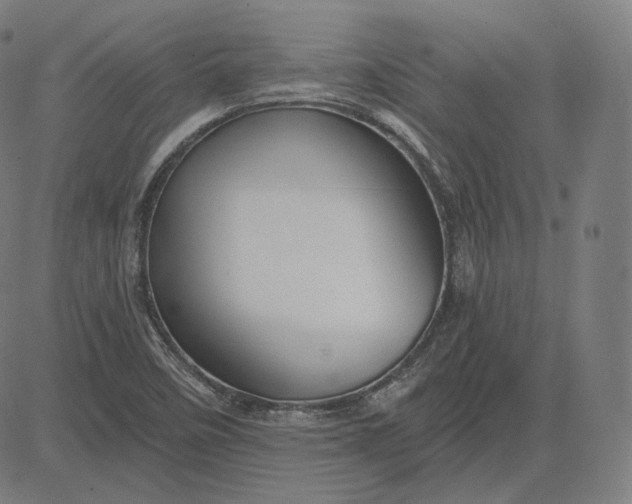 X0000084531458200703091615