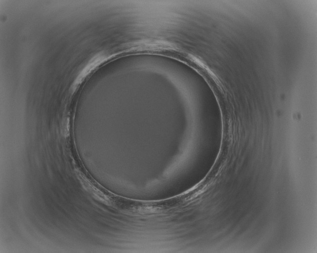 X0000084531459200703091615