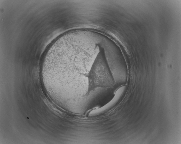 X0000084531460200703091615