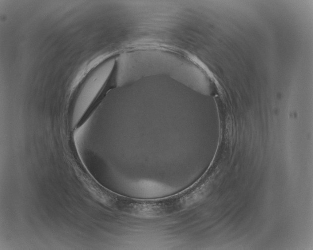 X0000084531461200703091615