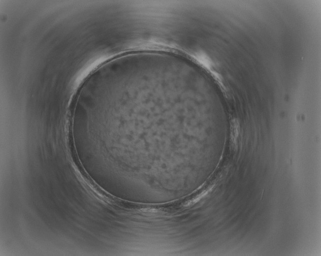 X0000084531463200703091615