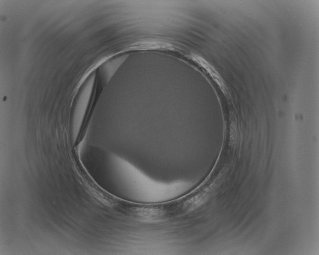 X0000084531465200703091615