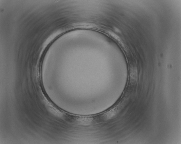 X0000084531466200703091615