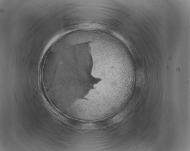 X0000084531467200703091615