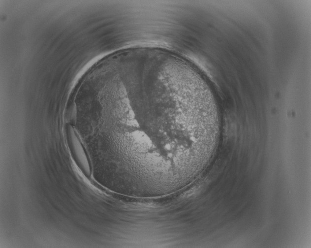 X0000084531468200703091615