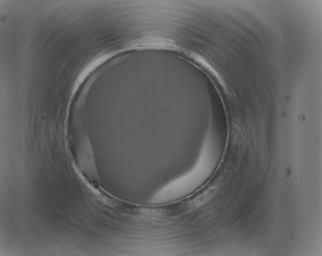 X0000084531469200703091615