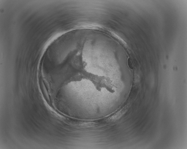 X0000084531471200703091615