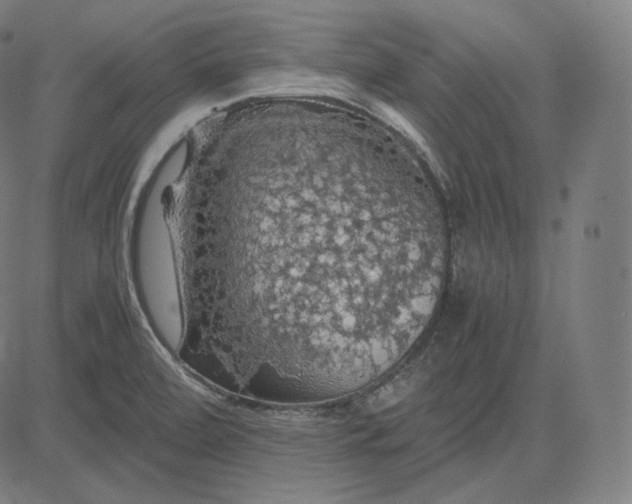 X0000084531472200703091615