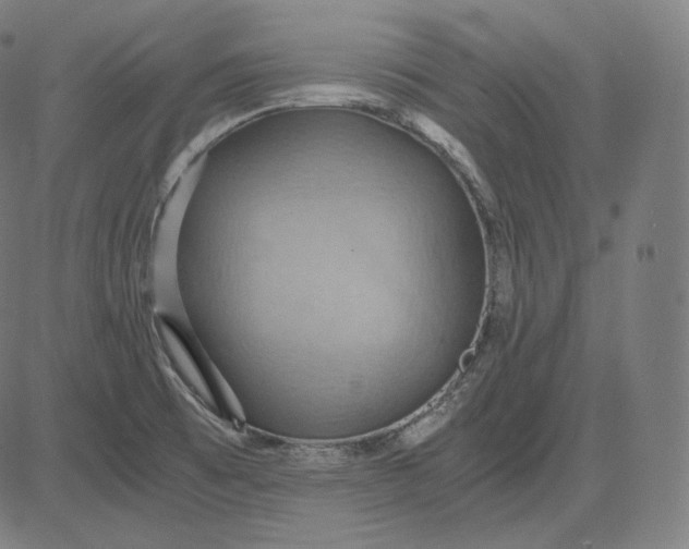 X0000084531473200703091615