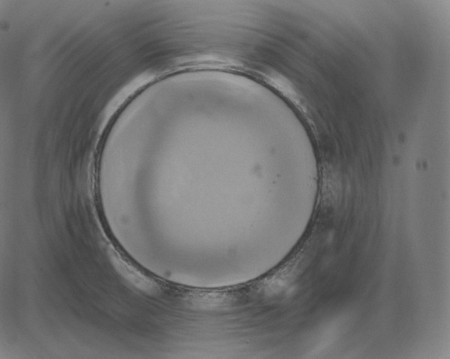 X0000084531474200703091615