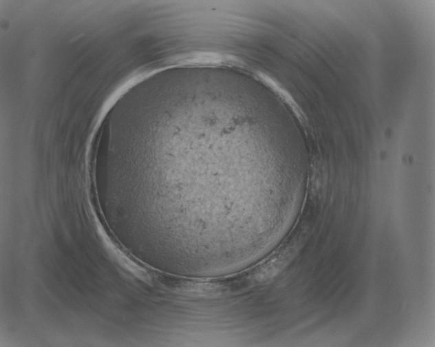 X0000084531475200703091615