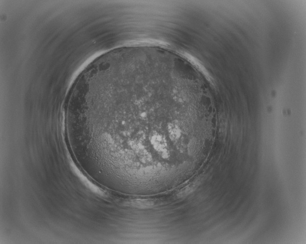 X0000084531476200703091615