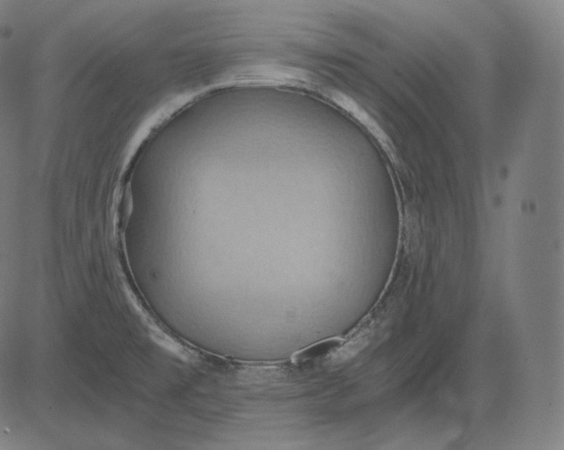 X0000084531477200703091615