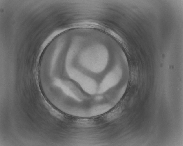 X0000084531478200703091615